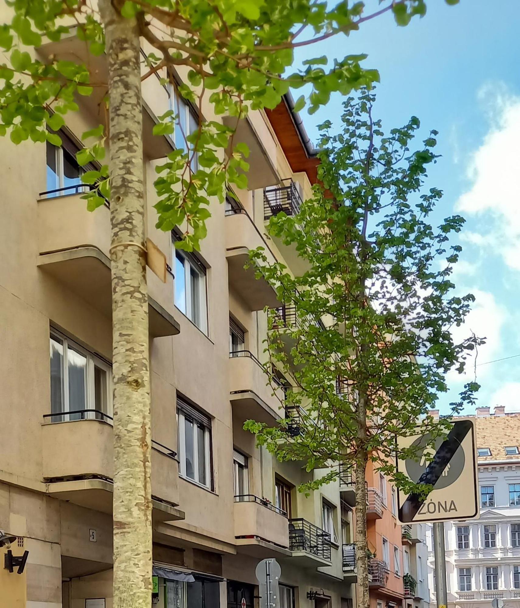 Apartament Dinerdowntown With Free Garage Budapeszt